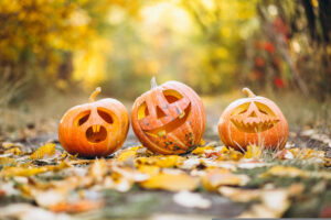 Gadgemayur pumpkin 6720424 web