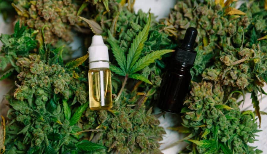 CBD teinture - © iStock | VictoriaBee CBD teinture