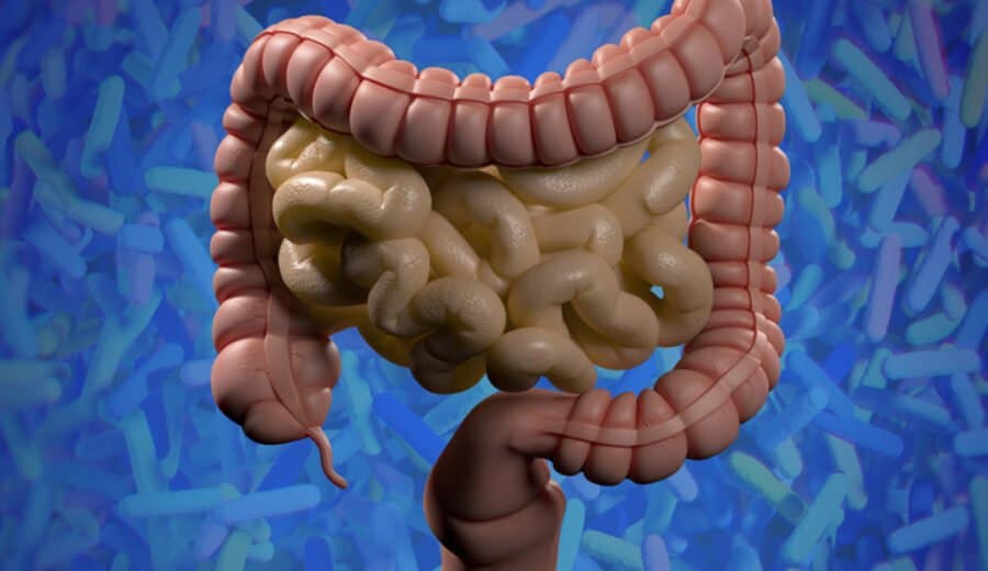 Darm Microbiom I Stock Chris Chris W - © iStock | ChrisChrisW Darm Microbiom I Stock Chris Chris W