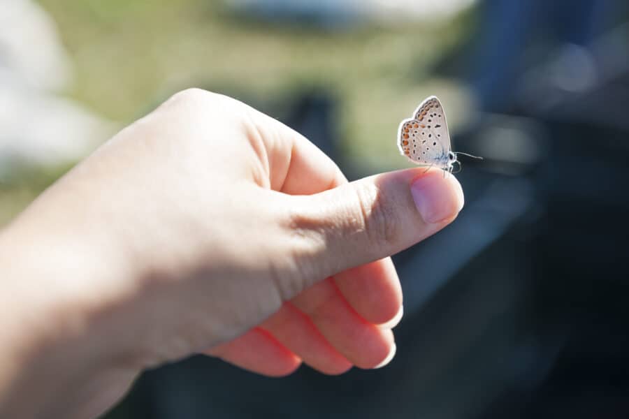 I Stock 598535176 - © iStock | Vesnaandjic I Stock 598535176