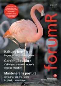 Forum R 2 17 Titel Web