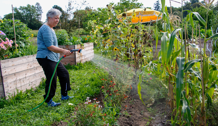 arroser le jardin arroser le jardin