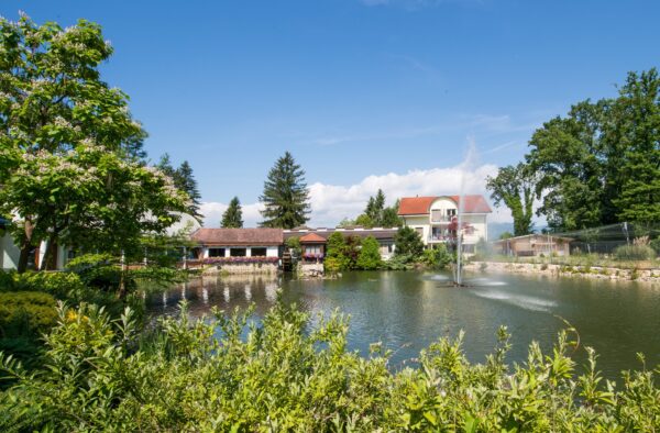 Waldsee Sommer k2