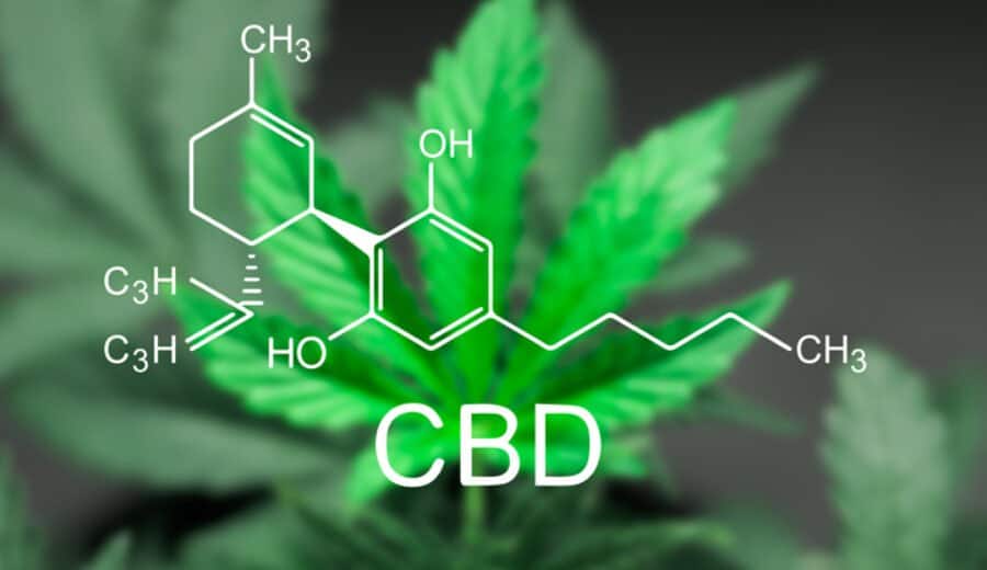 Cbd Cbd